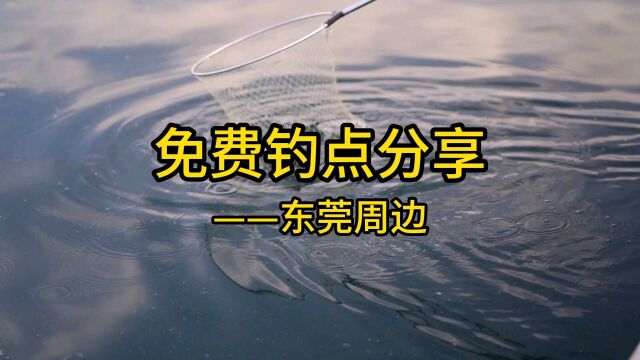 免费钓点分享啦,野钓朋友们快快看过来