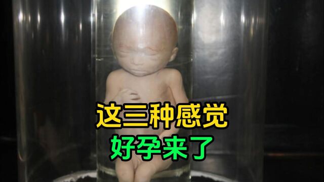 这三种感觉说明好孕来了