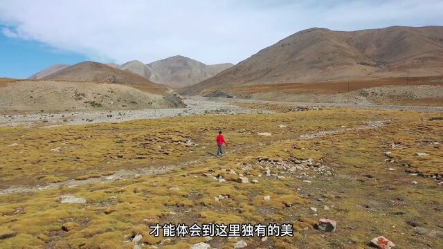 青海湖畔的一颗明珠,藏城刚察,一个让人来了就不想走的小城青海小众旅行地青海湖刚察携程