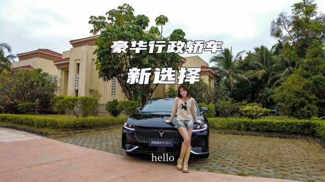 豪华行政轿车新选择 试驾岚图追光PHEV