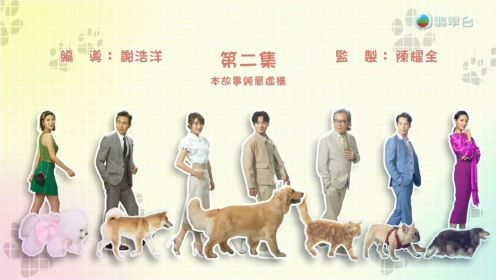 宠爱petpet
第二集~1