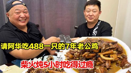安徽凤阳乡村请阿华吃7年老公鸡488一只，柴火炖5小时，吃得过瘾