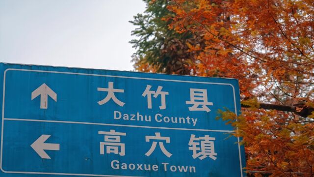 Welcome to Dazhu