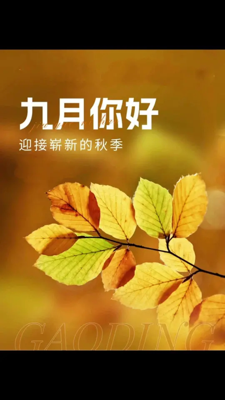 九月第一天 #九月好运 #9月你好 #落叶知秋风渐凉 #一首歌迎接九 .