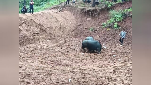 还没有开始就结束了