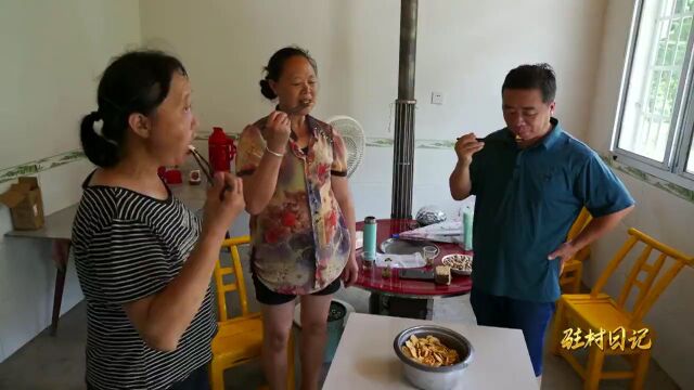 【驻村日记】石门县杨家坪村:壶瓶山里“芙蓉”来 桥通世界茶香飘