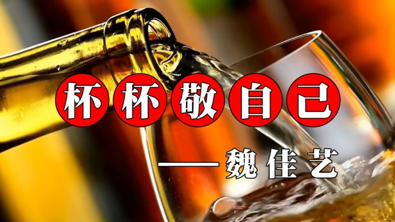 网红歌曲《杯杯敬自己》魏佳艺演唱,歌声动听伤感,沙哑的嗓音带着磁性