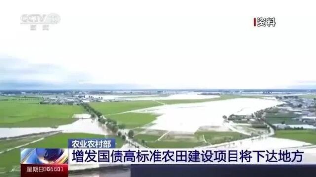 农业农村部:增发国债高标准农田建设项目将下达地方