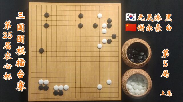 第25届农心杯三国围棋擂台赛第5局谢尔豪vs元晟溱上集