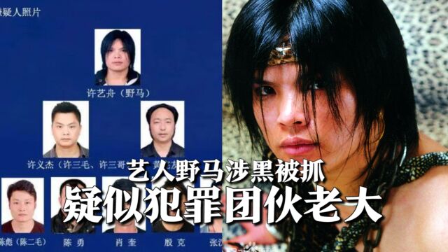 知名艺人野马涉黑被抓,警方对外征集线索,疑似犯罪团伙老大