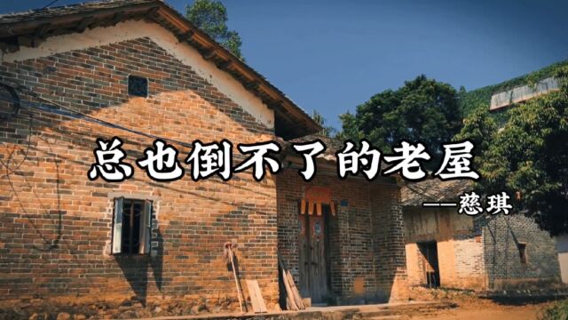 《总也倒不了的老屋》窗户变成了黑窟窿,门板也破了洞