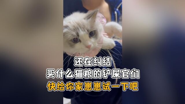 还在纠结买什么猫粮的铲屎官们快给你家崽崽试一下吧