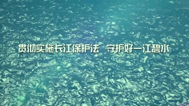 宜宾检察榜上有名!第四届川渝法治微视频微电影大赛获奖名单公布啦!