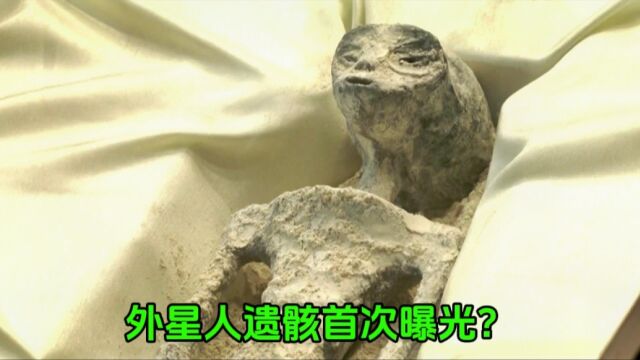 墨西哥展出“外星人”遗骸,高清画面曝光,真怕背面写着中国制造