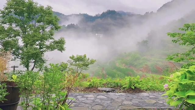 暑尽凉生,秋意渐浓.又到了一年的秋耕季,秋风送凉,添几许凉意,一切已有了秋的模样.