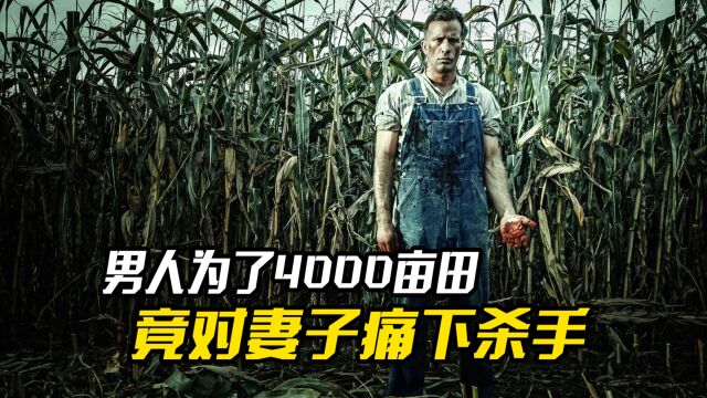 男人为了4000亩的良田,竟和儿子对妻子痛下杀手,惊悚犯罪电影