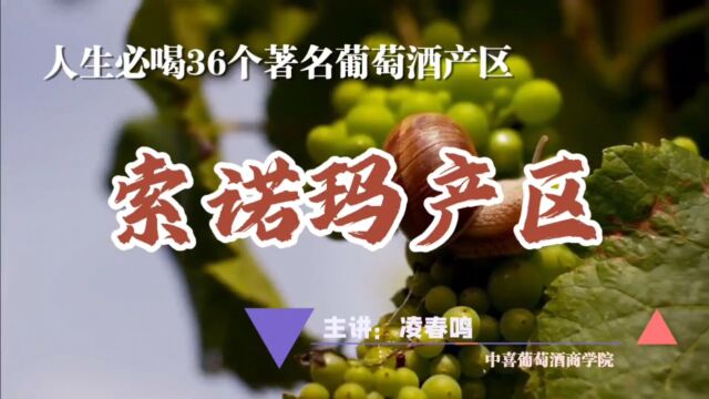 一生必喝的36个葡萄酒产区,索诺玛