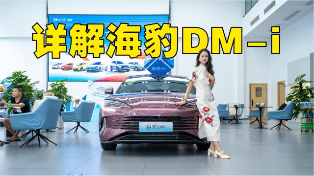 要什么眉笔?来一台海豹DMi才是人生赢家