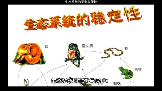 生态系统的平衡与保护:为什么生物多样性至关重要?