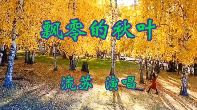 《飘零的秋叶》歌曲入心入耳,情深,意浓,柔情似水,抒情动听