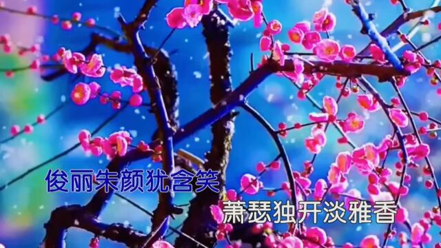 玉梅【李相伯,李永杰词,卢宁曲,赛燕飞演唱】