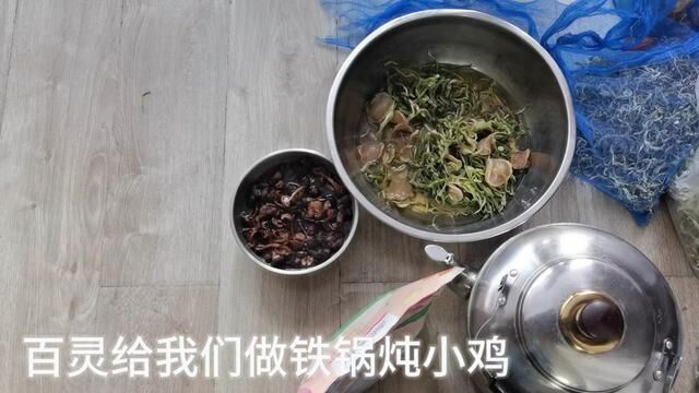 周日百灵请我们到她家吃饭,做了一锅“铁锅炖”,这是我们东北人冬季盛行的吃法.