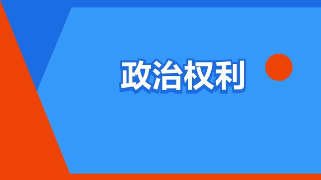 “政治权利”是什么意思?