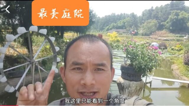 重庆农村最美庭院,奇花异草各种造型令人叫绝