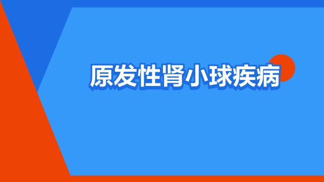 “原发性肾小球疾病”是什么意思?