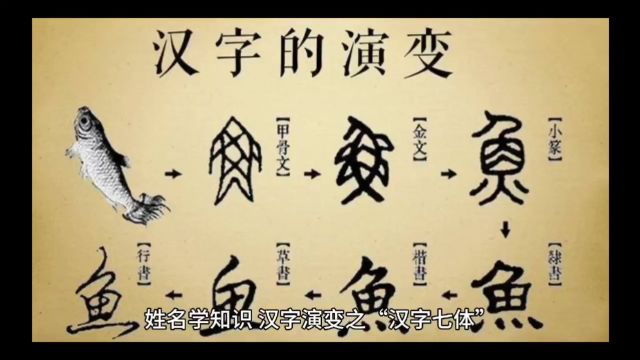 汉字七体指什么?新生儿起名字需要知道的汉字知识