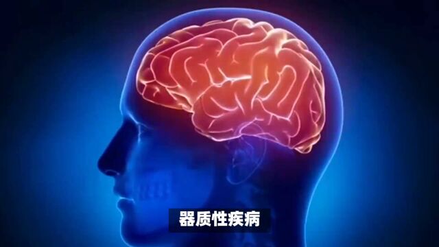 器质性疾病的特征与后果