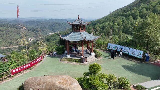 石峰区加快推进九郎山生态绿心保护