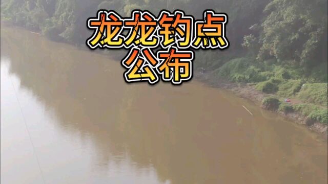 重庆附近野钓大鱼钓点