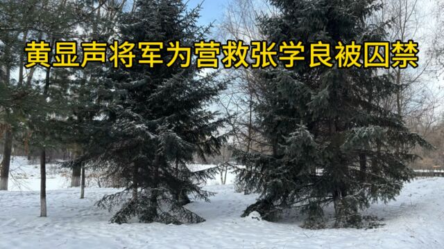 黄显声为营救张学良被囚禁