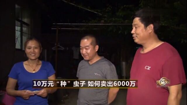 致富经:山东男子地里种出“金蝉”,一年销售额达到6000多万元