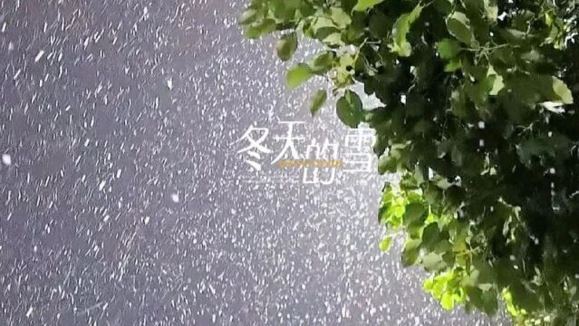 我的旅行日记|雪染水韵 绘素江南,一起来感受今冬第一场雪吧