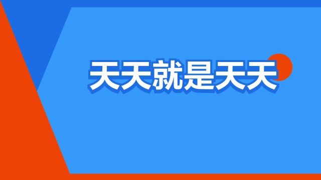 “天天就是天天”是什么意思?