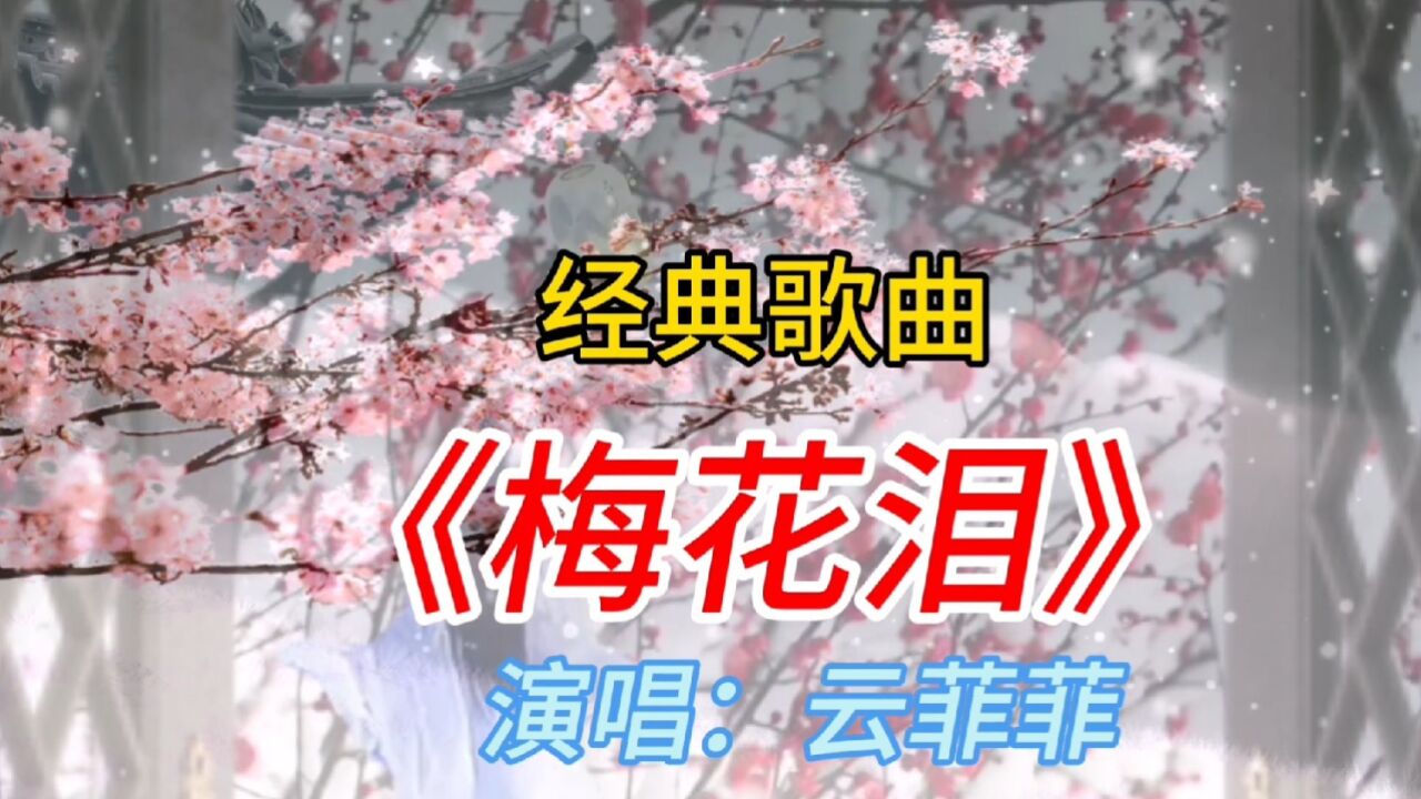 歌曲梅花泪图片大全图片