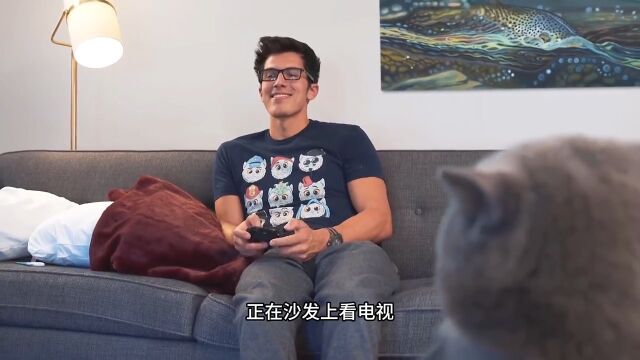 猫咪代替主人完成任务,还做了一天公司总经理,奇幻片