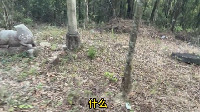 在广东大山深处发现各种各样雕刻的马像人像摆放像是一种阵型当年这里究竟隐藏着什么故事#石像#历史#文物