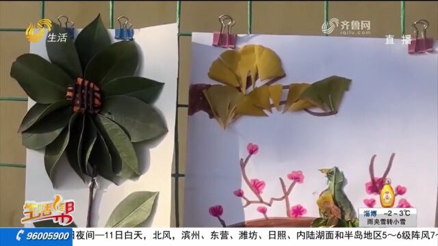 滕州小学举办树叶画展览,学生们利用落叶进行创作,尽显植物魅力