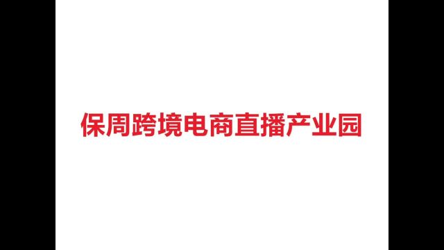 上海保周跨境电商直播产业园新零售、新媒体