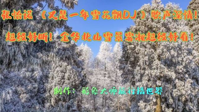 张怡诺《又是一年雪花飘DJ》歌声深情!超级好听!