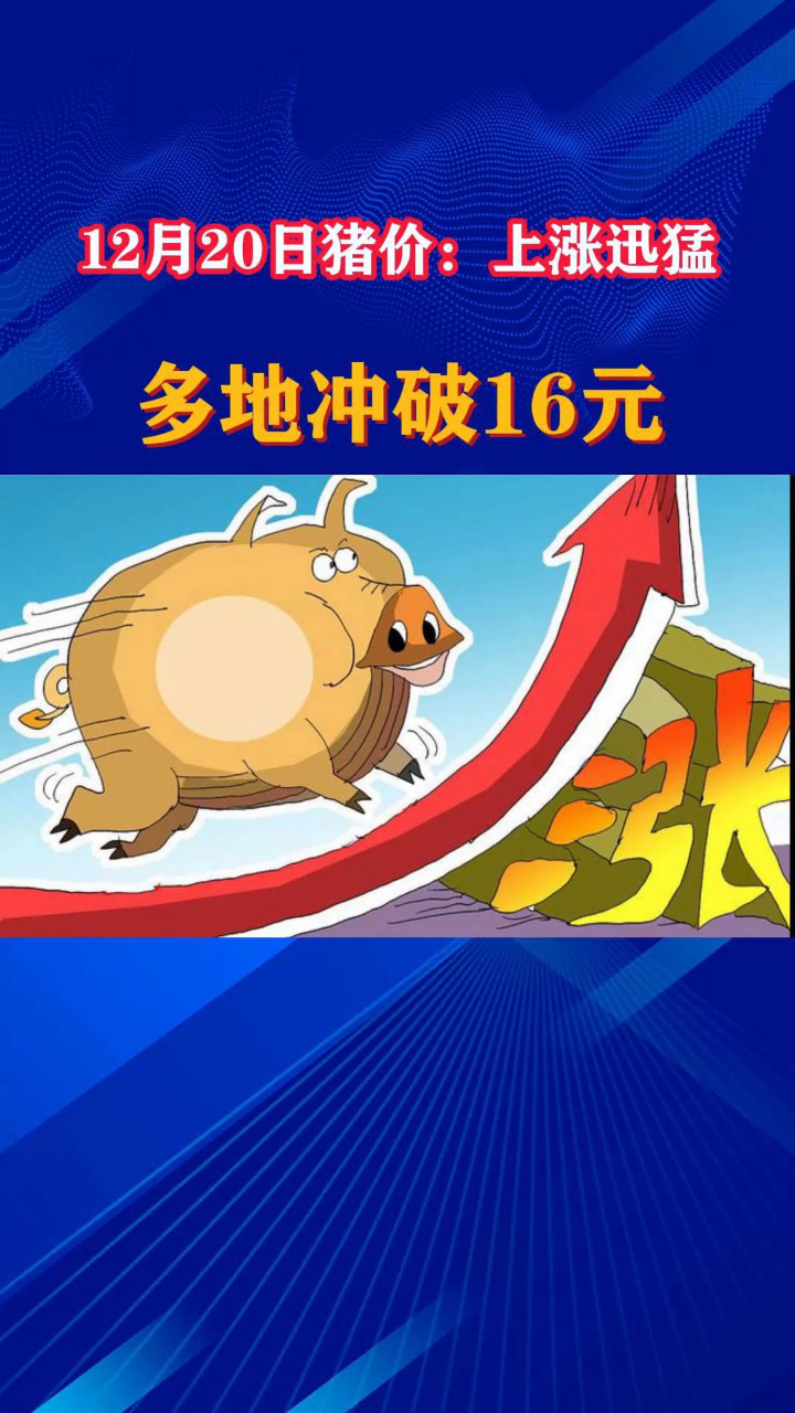 12月20日猪价:上涨迅猛!多地冲破16元!