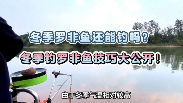 冬季罗非鱼还能钓吗?冬季钓罗非鱼技巧大公开!