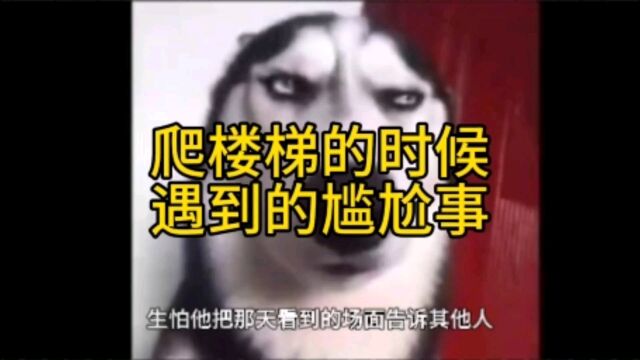 爬楼梯的时候遇到的尴尬事