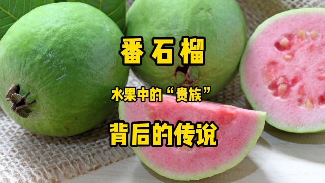 虽被称作“鸡屎果”,但却是果中“贵族”,听过它背后的传说吗?