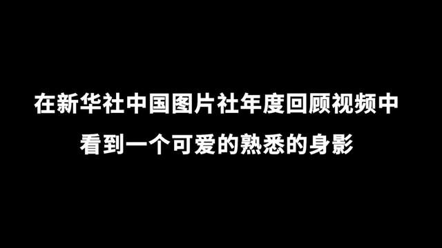 丫丫回家的8个月,让全网感叹2023一切值得 #用一个词概括2023