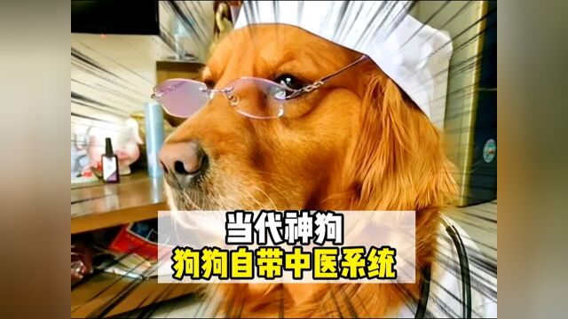 狗狗竟有如此神奇的本领