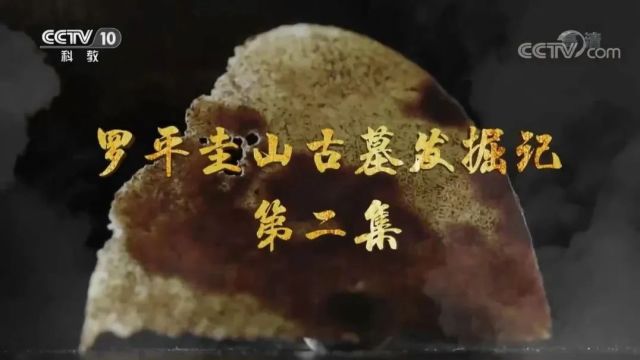 完整版!央视《探索ⷥ‘现》播出罗平圭山古墓发掘记…